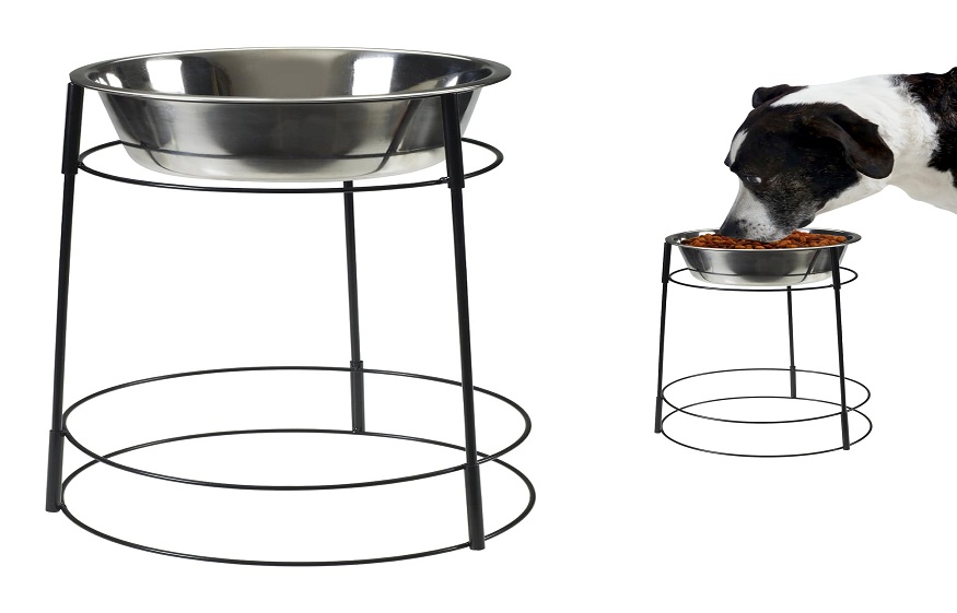 How Single Elevated Dog Bowls Prevent Common Feeding Problems